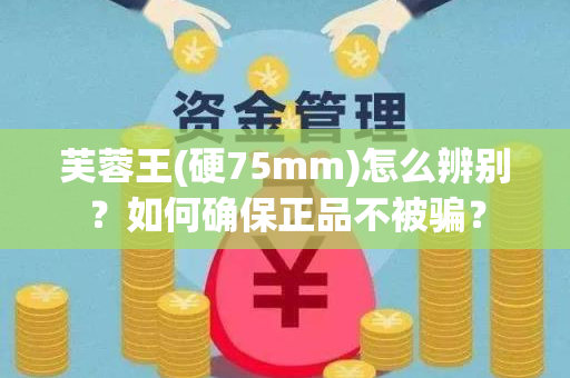 芙蓉王(硬75mm)怎么辨别？如何确保正品不被骗？